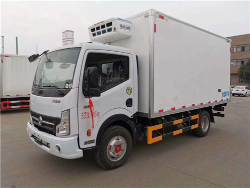 東風凱普特N300冷藏車 (3).jpg